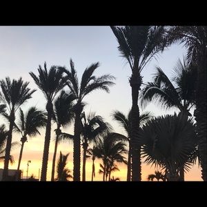 Meet your Posher, Lyla